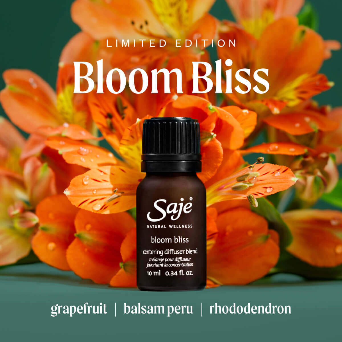 Bloom Bliss